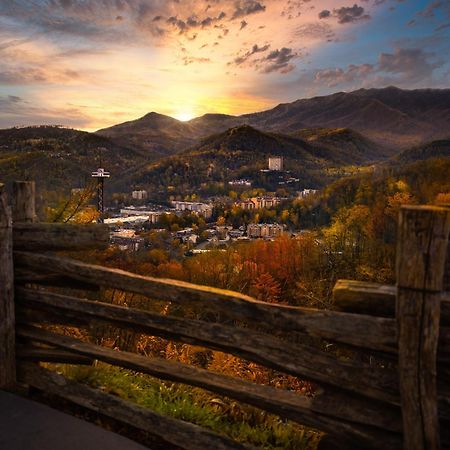 Papa Bear, Hot Tub, Wifi, 1089 Free Tickets Each Paid Day, Dollywood And More Sevierville Eksteriør bilde