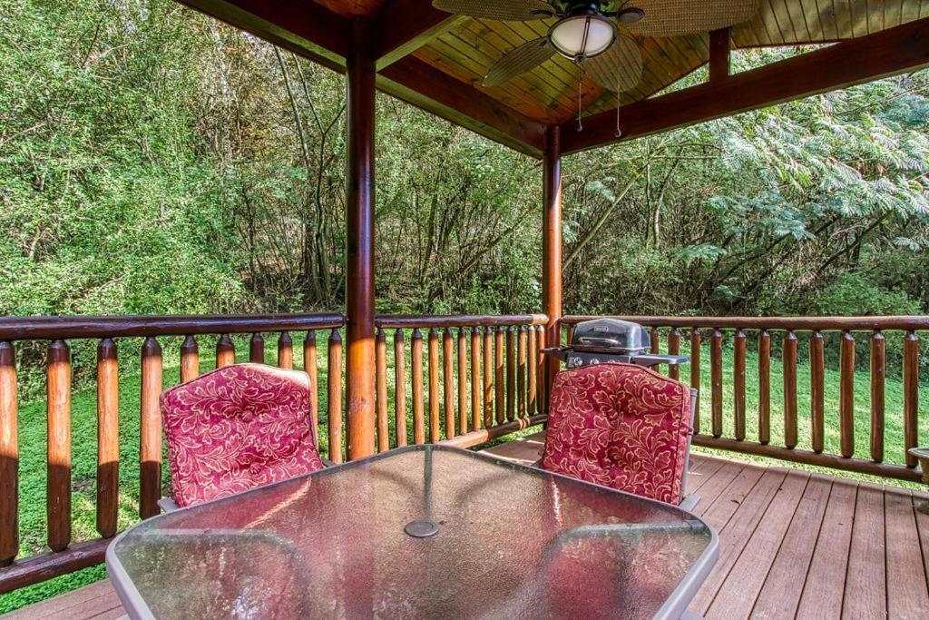 Papa Bear, Hot Tub, Wifi, 1089 Free Tickets Each Paid Day, Dollywood And More Sevierville Eksteriør bilde