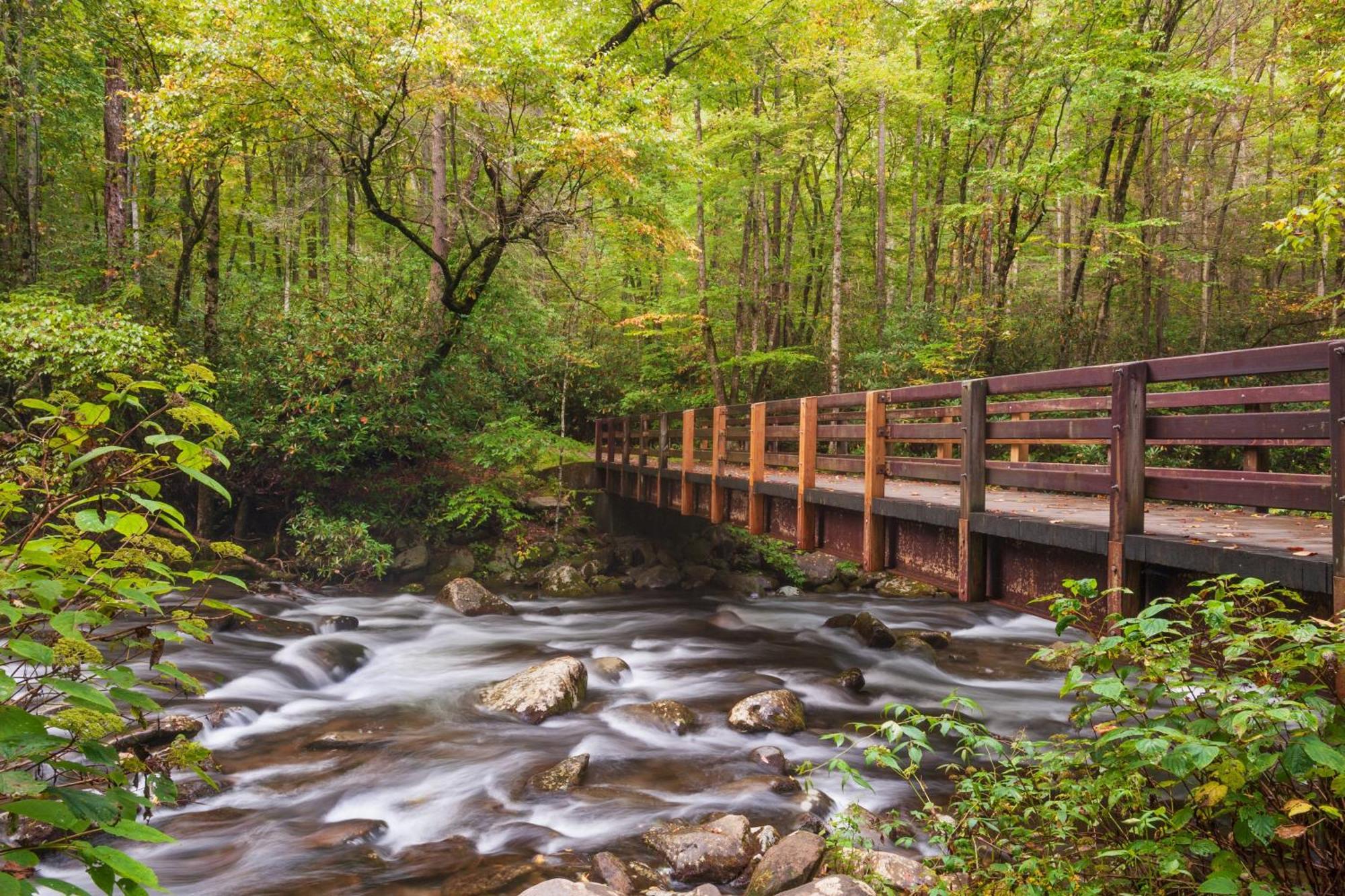 Papa Bear, Hot Tub, Wifi, 1089 Free Tickets Each Paid Day, Dollywood And More Sevierville Eksteriør bilde